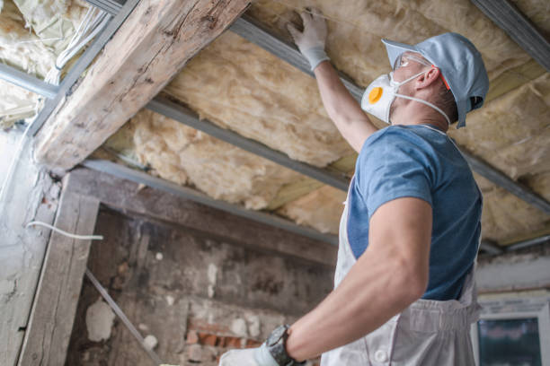 Best Attic Insulation Installation  in West Jefferson, OH